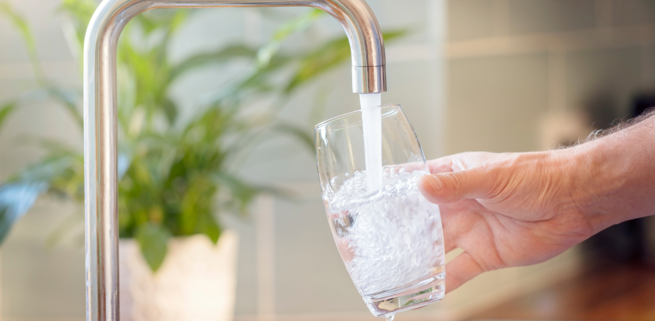 Esterilizadores o Purificadores de Agua de GWT